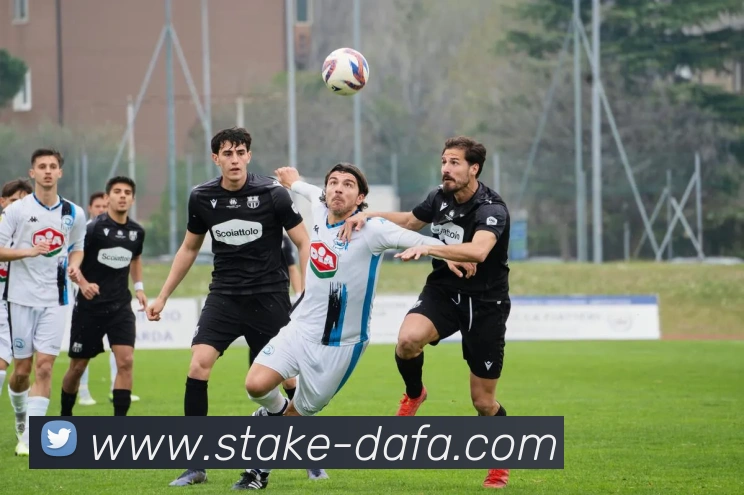 大发官网平台生态图